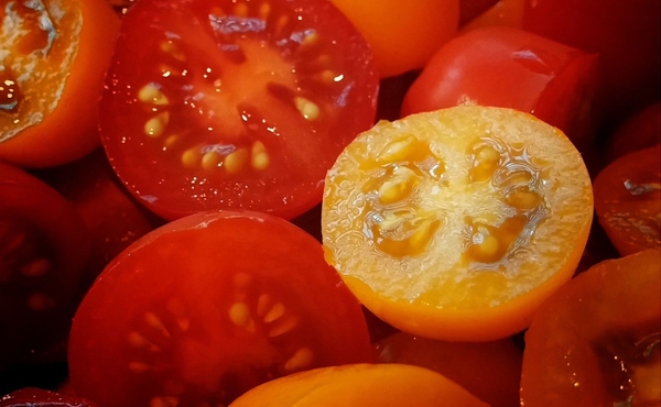 Tomatenöl